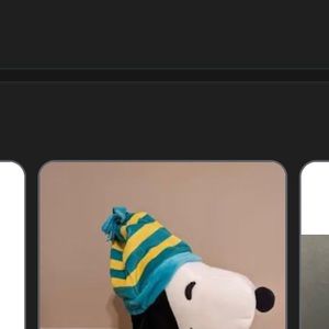 Meet your Posher, Casey